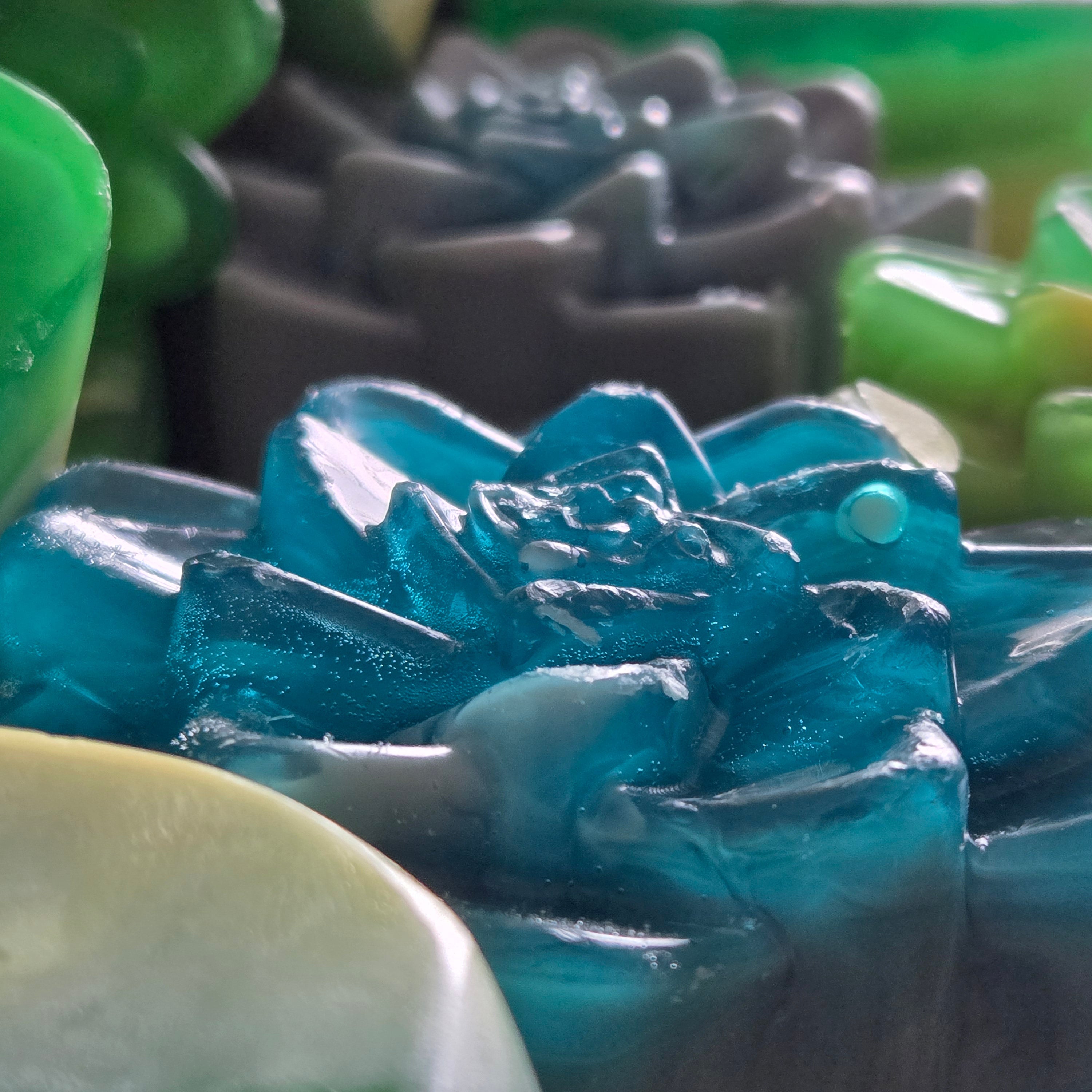 Blackwater Bath Bars | Handcrafted Soap