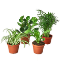 Pet Friendly Variety Bundle