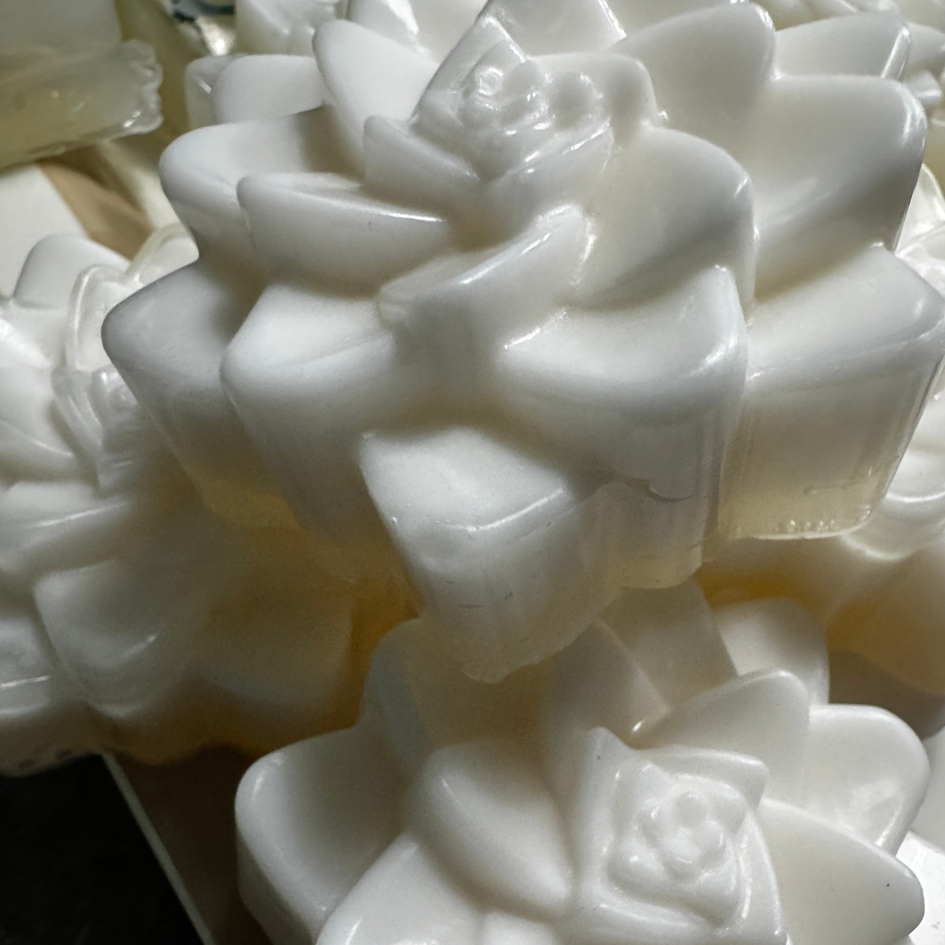 Blackwater Bath Bars – Ravintsara & Cedarwood, white lotus soap bars in tray
