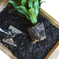 Indoor Plant Potting Soil - Puck